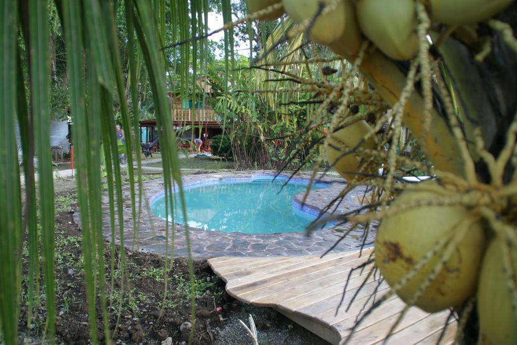 Hakuna Matata Hostel กาอุยตา ภายนอก รูปภาพ