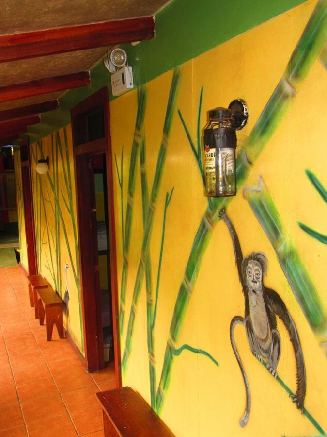 Hakuna Matata Hostel กาอุยตา ภายนอก รูปภาพ