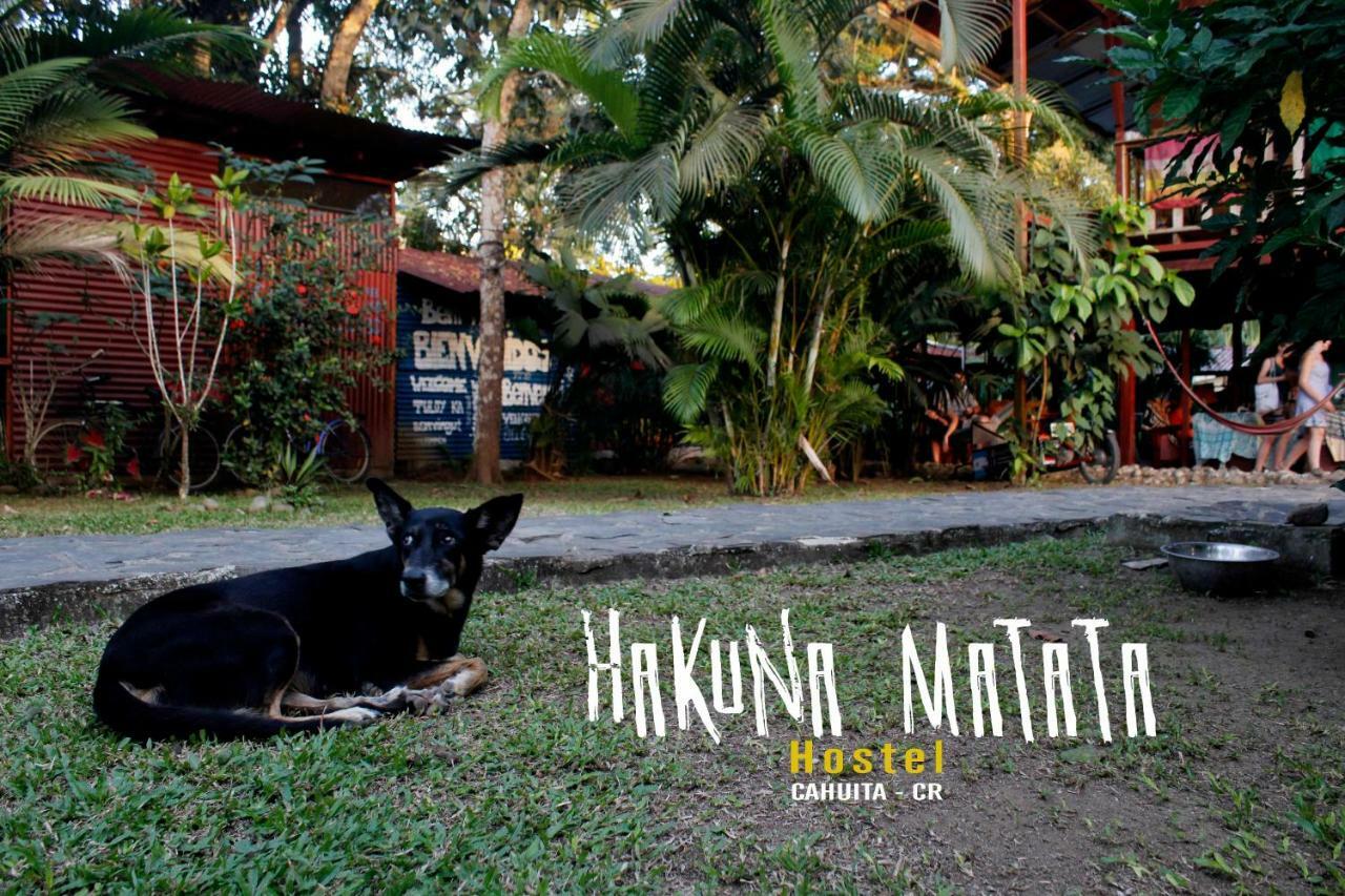 Hakuna Matata Hostel กาอุยตา ภายนอก รูปภาพ